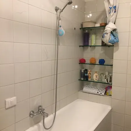 Apartment Domus Irnerio *