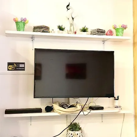 Domus Irnerio Apartment Rom
